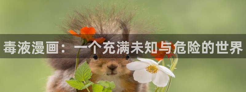 拷贝漫画安卓下载安装包