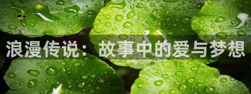 拷贝漫画官网版下载：浪漫传说：故事中的爱与梦想